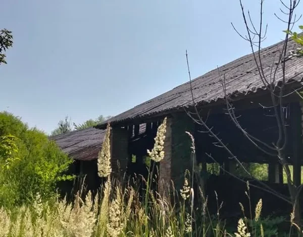 Оголошено аукціони з продажу нерухомості в Мостиськах та Санниках