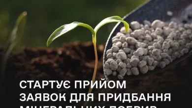 З 1 жовтня агровиробники зможуть подати заявки на субсидії за вітчизняні добрива