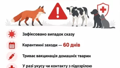 У селі Грушів Яворівської громади запровадили карантин через випадок сказу