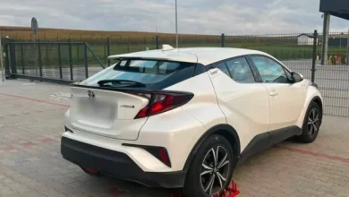 У пункті пропуску «Нижанковичі» виявили викрадений автомобіль Toyota