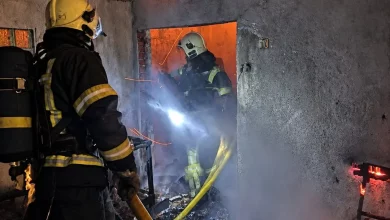 У селі Рудківці Стрийського району згоріли господарська будівля та авто