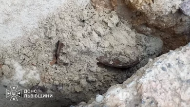 На Львівщині піротехніки знищили мінометну міну часів Другої світової війни