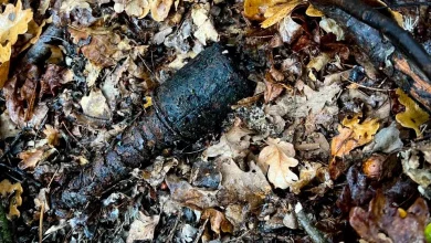 На Львівщині піротехніки ДСНС знищили боєприпаси часів Другої світової війни