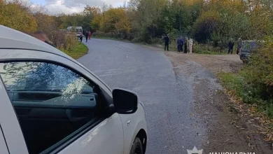 На Самбірщині вантажівка DAF смертельно травмувала пішохода