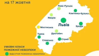 Прогноз пожежної небезпеки на 17 жовтня для Мостиськ