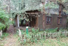 На Львівщині через борги та самочинні споруди громаді повернули 0,8 га лісу