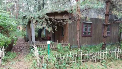 На Львівщині через борги та самочинні споруди громаді повернули 0,8 га лісу