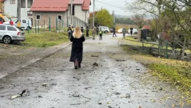 У Зубрі впав ворожий БпЛА: пошкоджено будинки та авто
