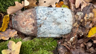 На Львівщині грибники та будівельники виявили боєприпаси минулих війн