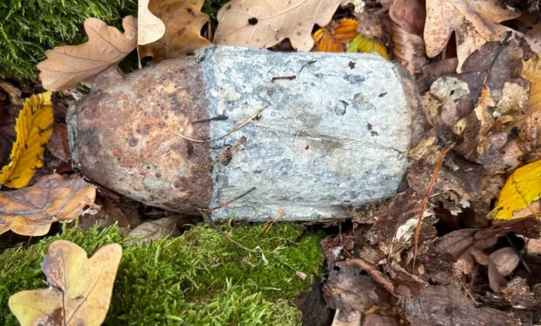 На Львівщині грибники та будівельники виявили боєприпаси минулих війн