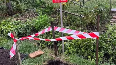 На Львівщині знищили два боєприпаси часів Другої світової війни