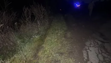 Поблизу села Калитяки на Львівщині в ДТП загинув водій, двоє пасажирів травмовані