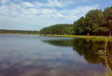Суд повернув громаді на Львівщині ставок і 11 га землі, передані в оренду без торгів