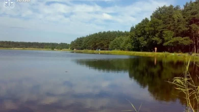 Суд повернув громаді на Львівщині ставок і 11 га землі, передані в оренду без торгів