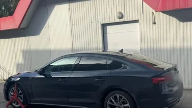У пункті пропуску «Шегині» виявили викрадений Audi, що розшукували у Швеції