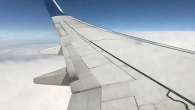 У США авіаквитки на День подяки та Різдво подорожчали до максимуму за десятиліття