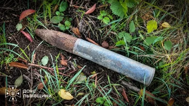 У селі Зіболки на Львівщині знищили артснаряд часів Другої світової