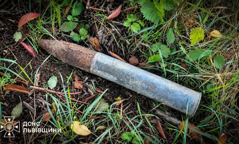 У селі Зіболки на Львівщині знищили артснаряд часів Другої світової