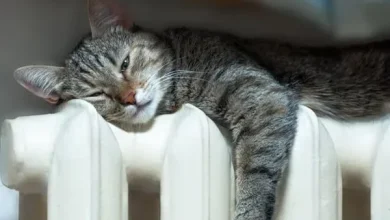 У Шептицькій громаді готуються розпочати опалювальний сезон