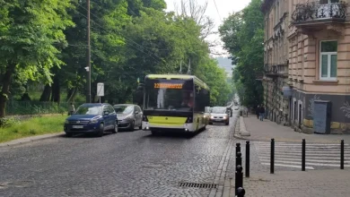 У Львові до 13:00 змінять рух тролейбусів №22 і №30 через обрізку гілок