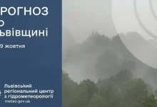 Прогноз погоди на 29 жовтня: туманна ніч і до +14° вдень