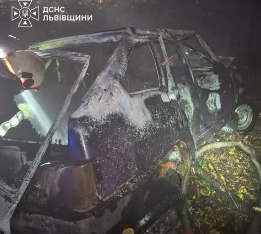 У Трускавці рятувальники загасили палаючий автомобіль ВАЗ