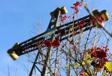 1 листопада відбудеться покладання квітів до пам’ятного хреста борцям за волю України
