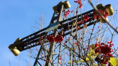 1 листопада відбудеться покладання квітів до пам’ятного хреста борцям за волю України
