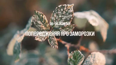 На Львівщині 5–6 жовтня очікуються заморозки